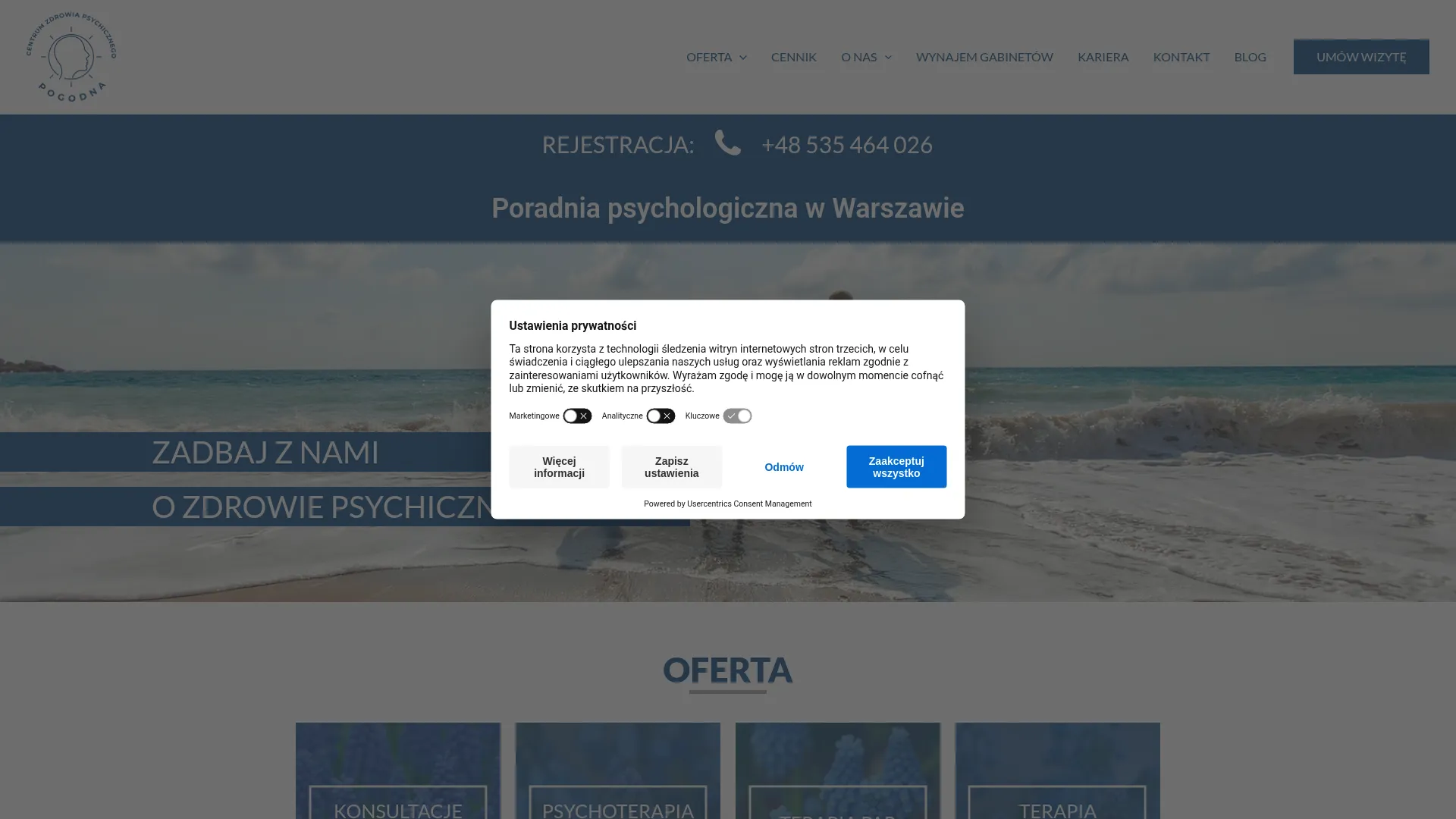 Zrzut ekranu strony firmy