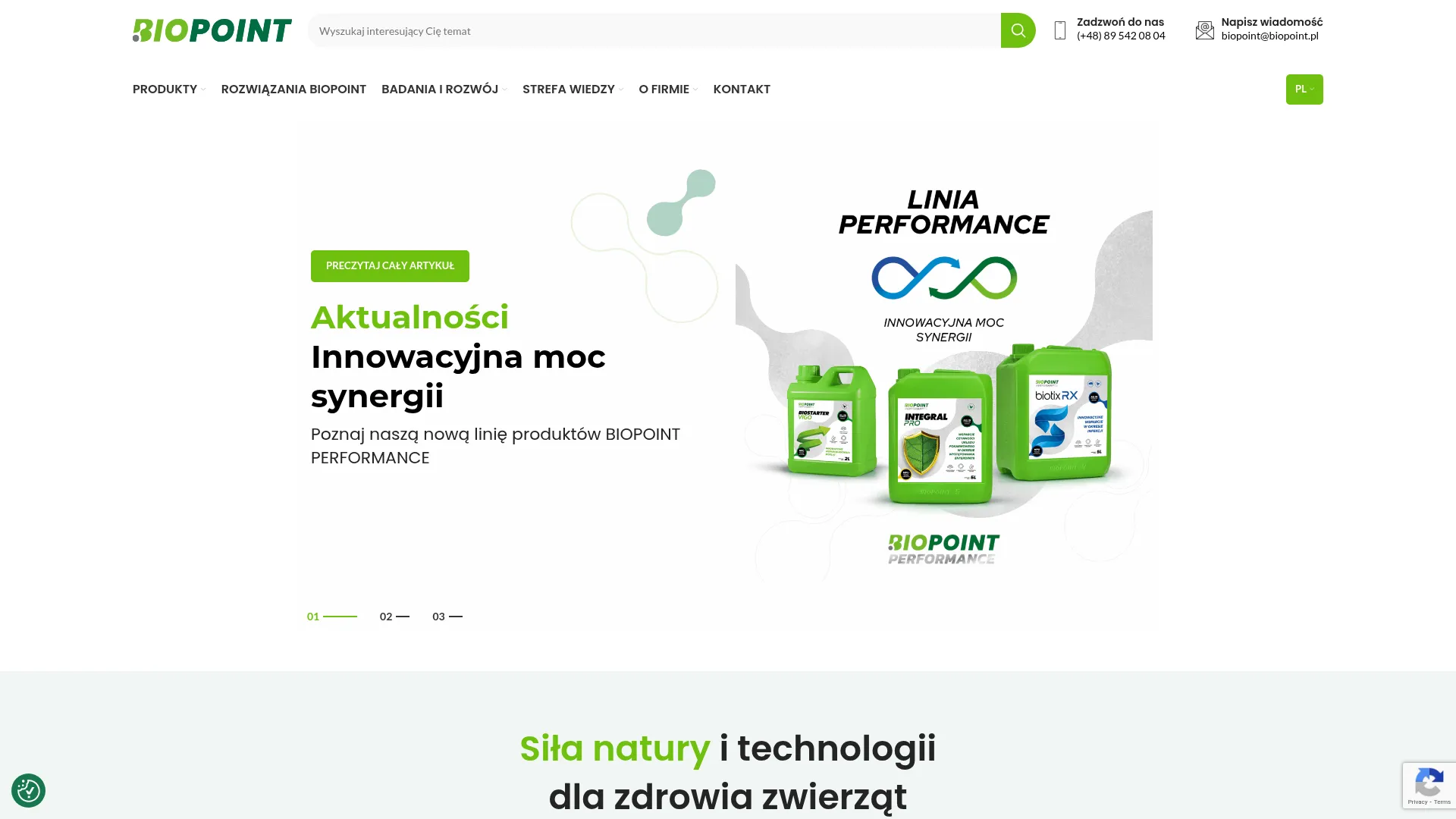 Zrzut ekranu strony firmy