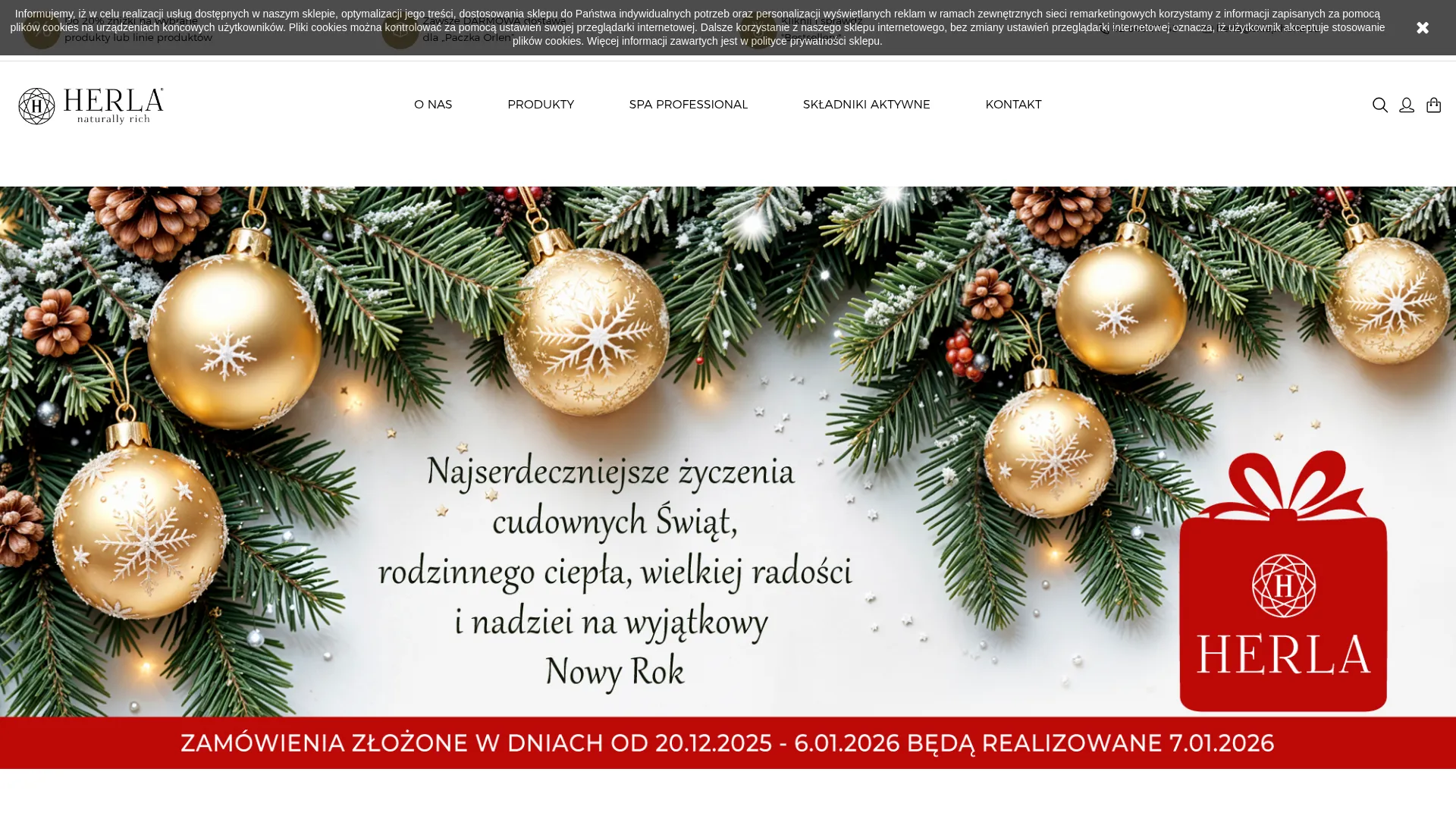 Zrzut ekranu strony firmy