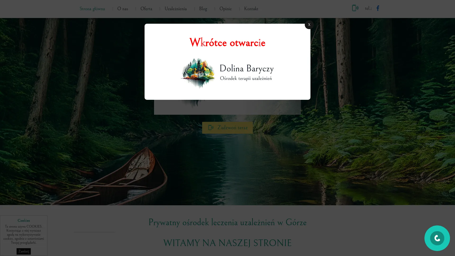 Zrzut ekranu strony firmy